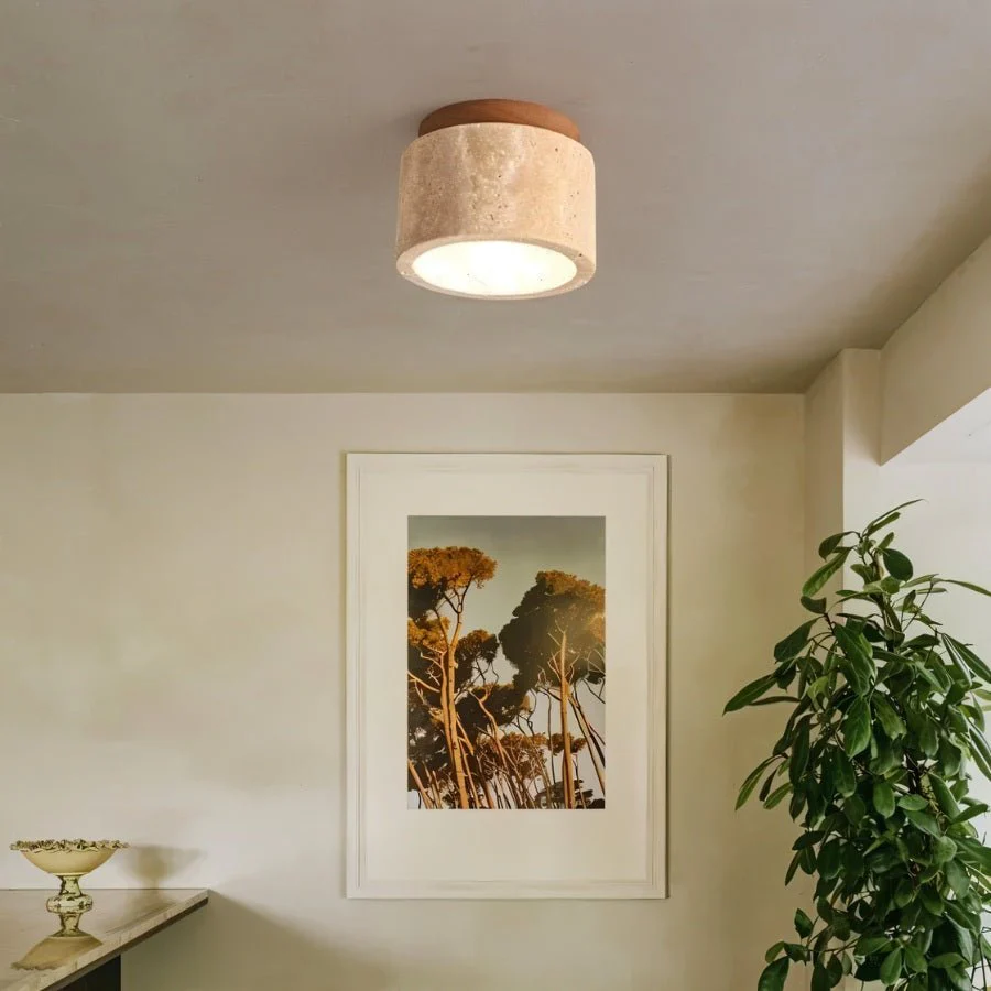 Alorium Ceiling Light - Image 6