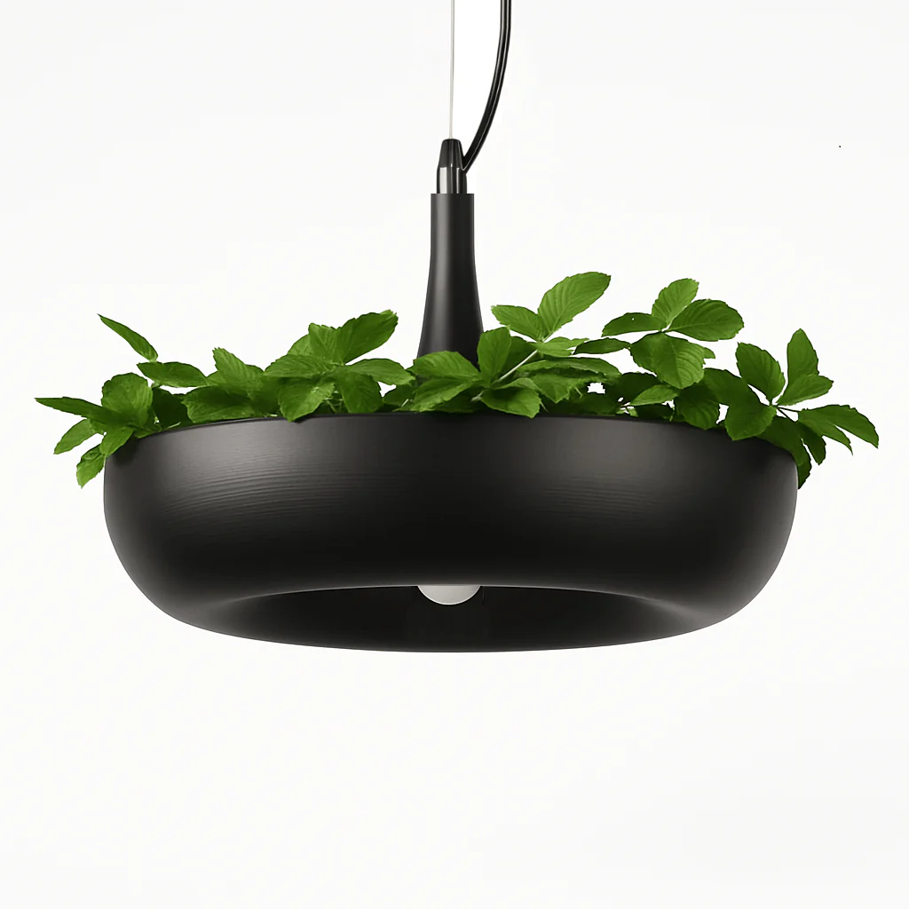 Aula Pendant Light