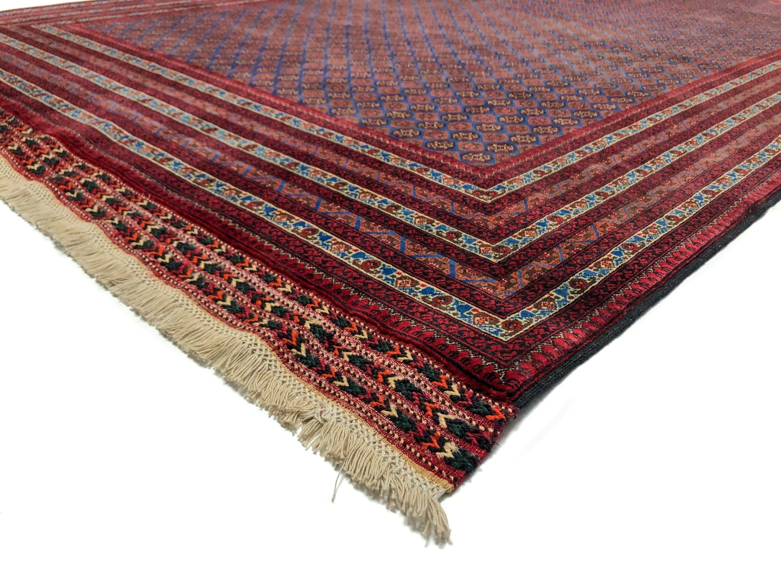 Balouch-Bokhara (6'06"x10'05") blue/dk.red - Image 5