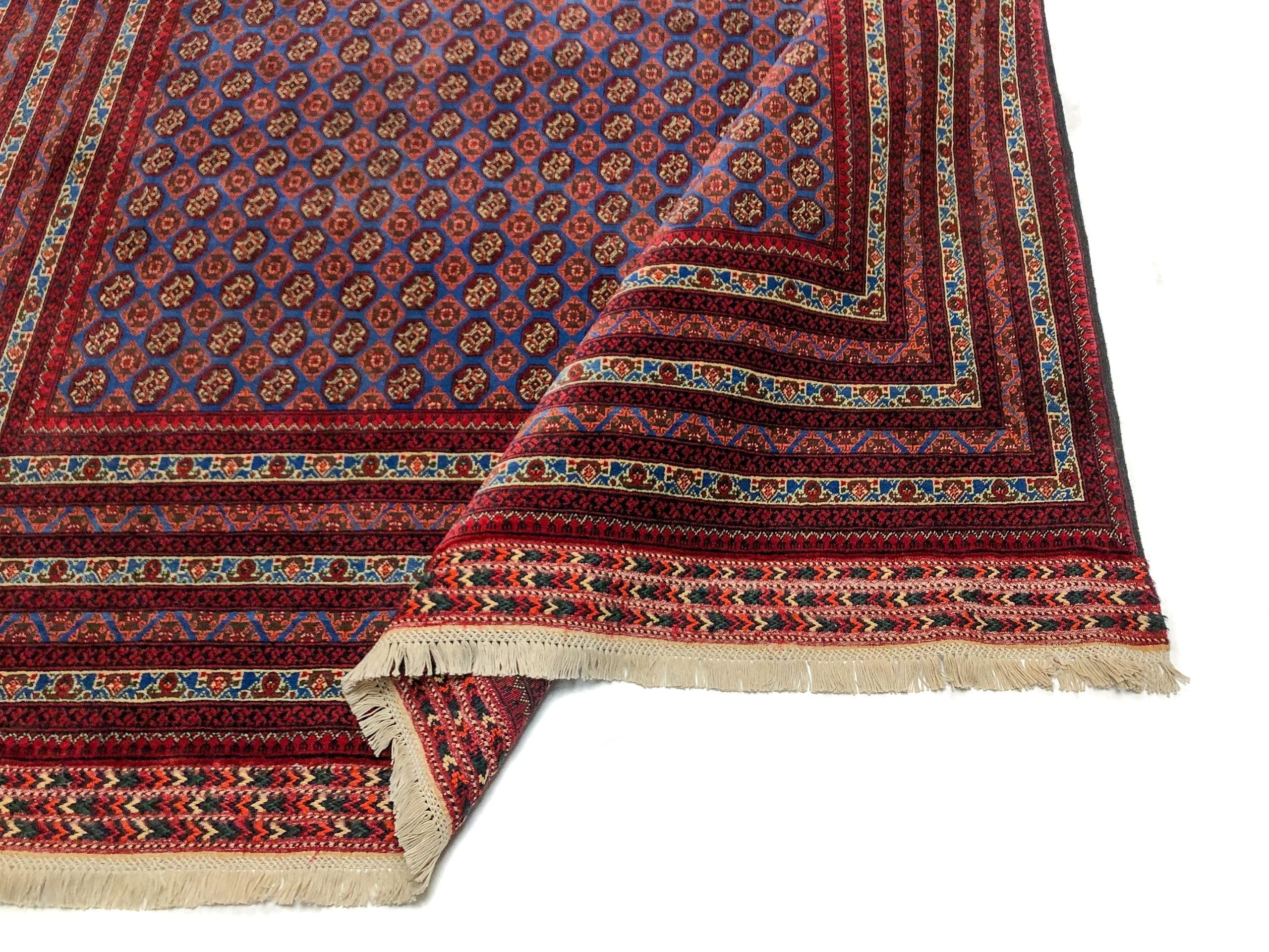 Balouch-Bokhara (6'06"x10'05") blue/dk.red - Image 6
