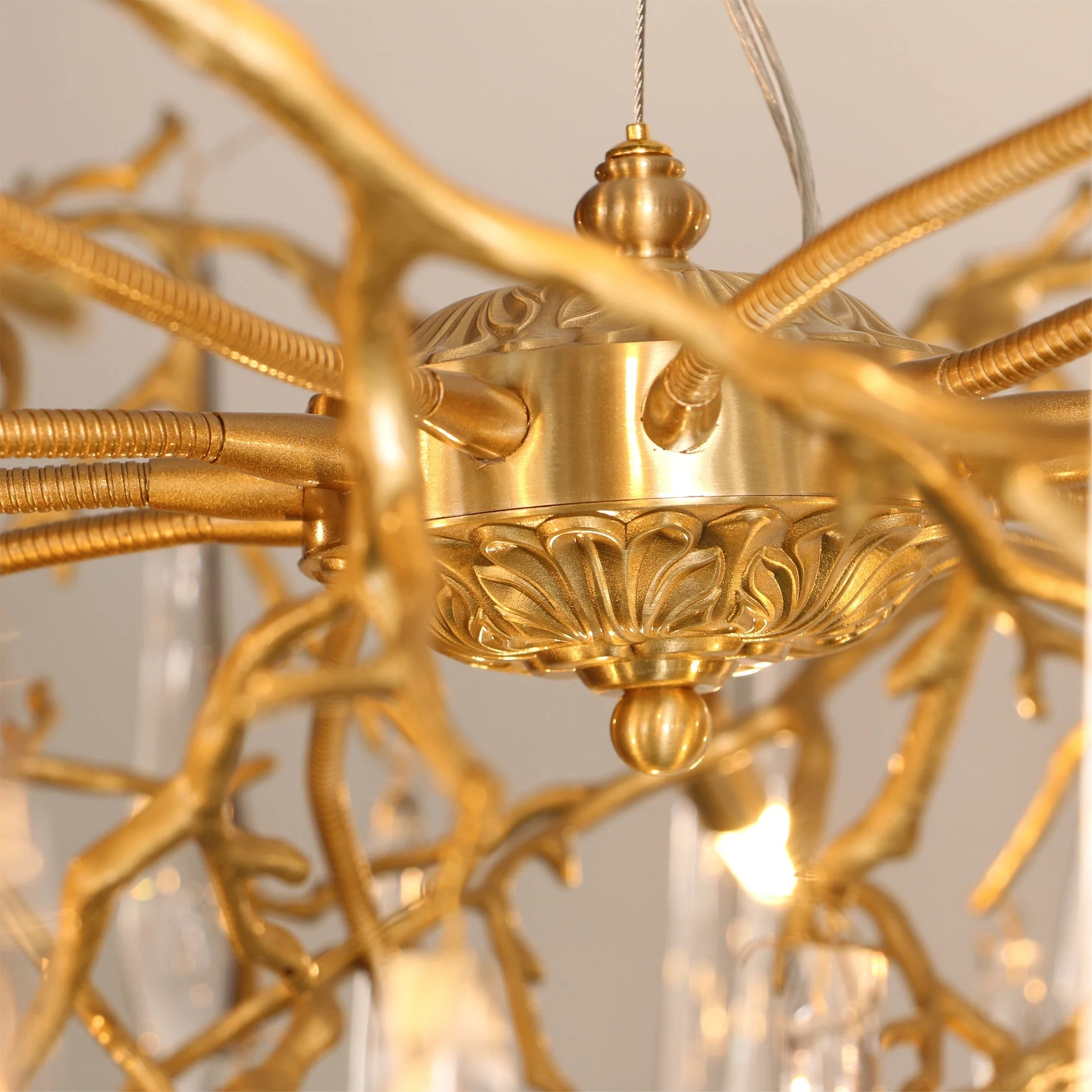 Branchs Brass Chandelier - Image 19