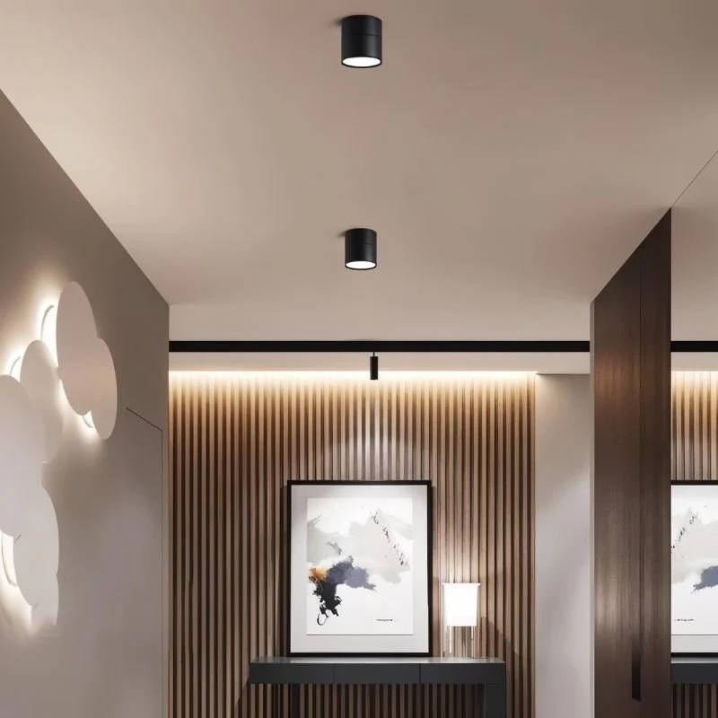 Candis Downlight - Image 7