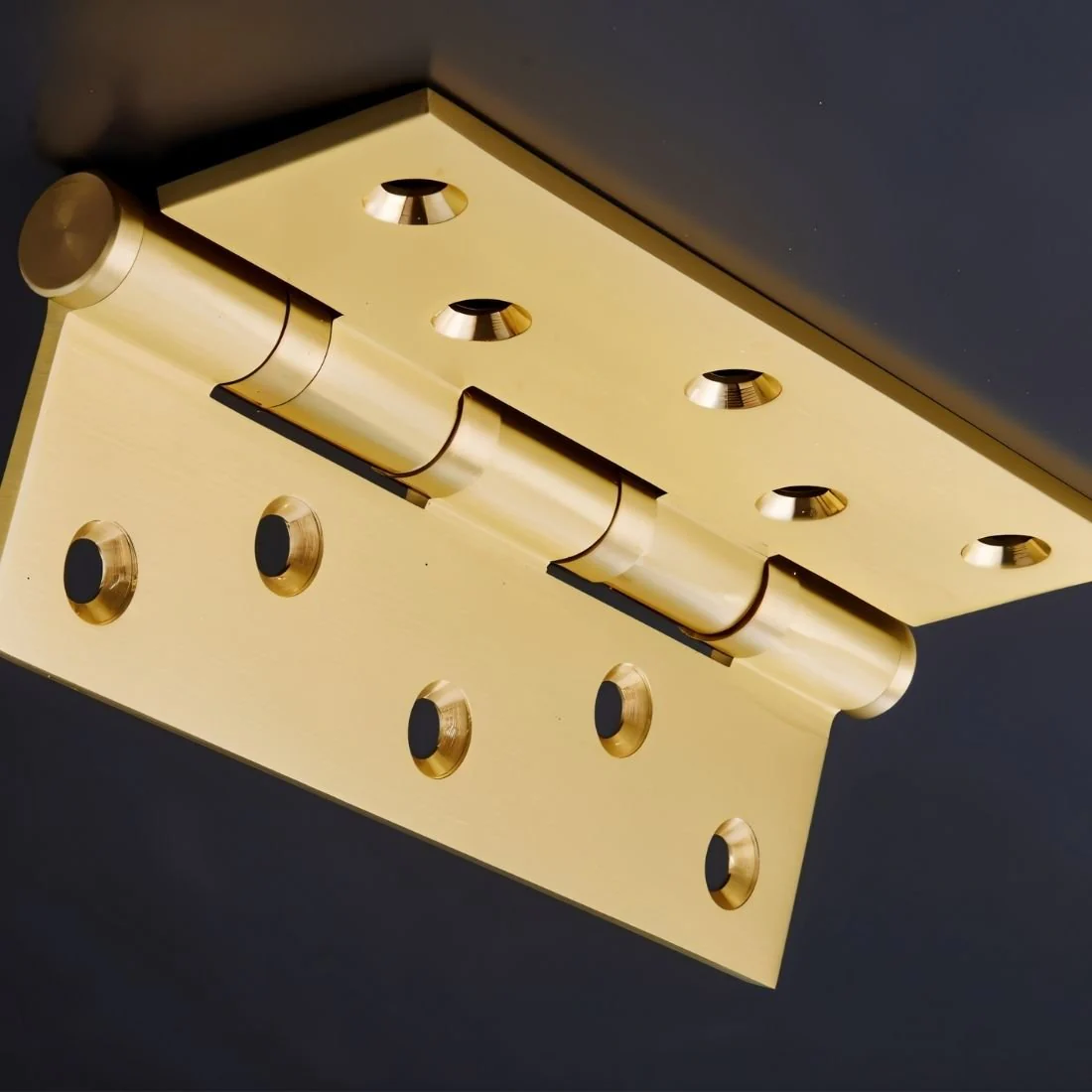 Cardo Heavy-Duty Door Hinge - Image 13