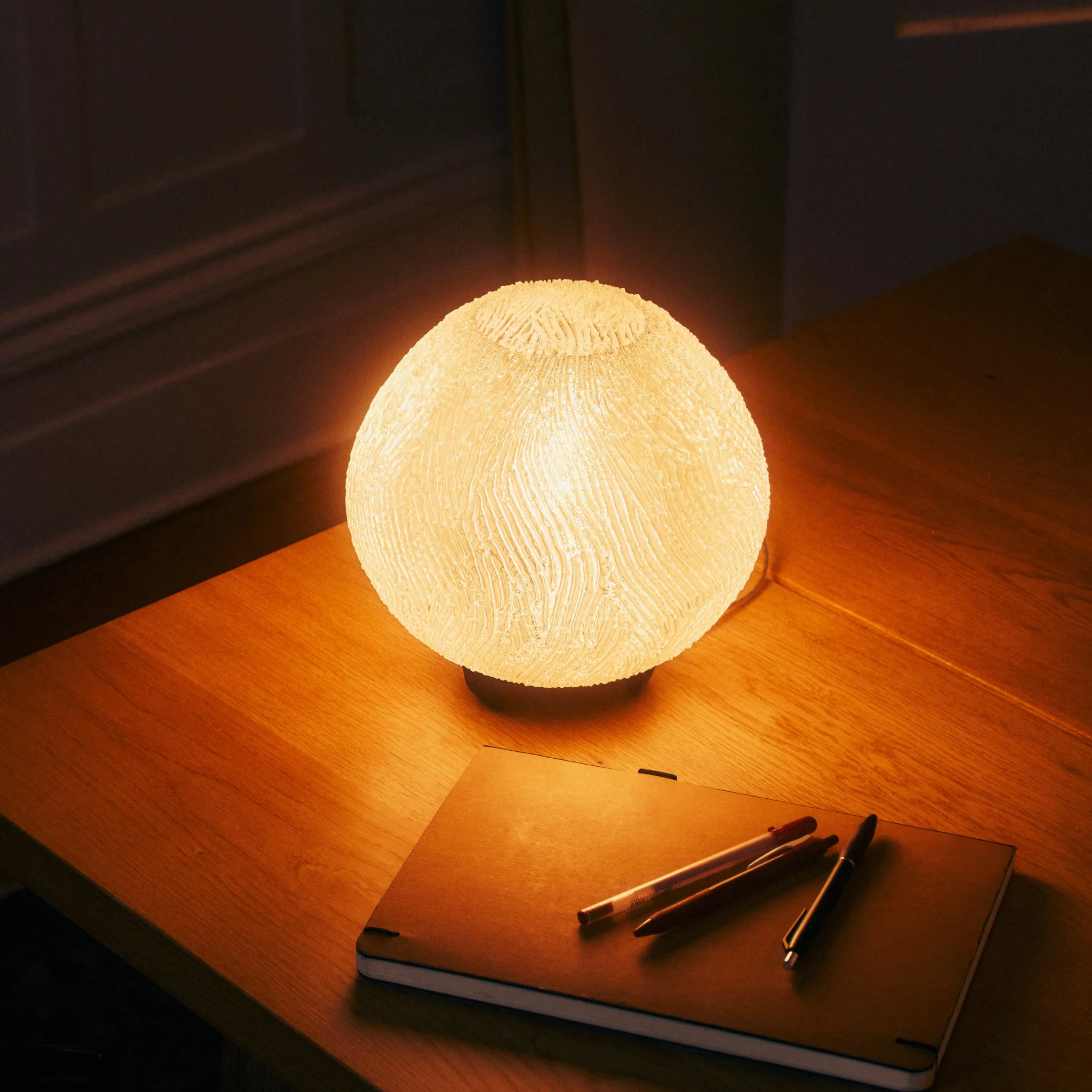 Coral Lamp - Image 10