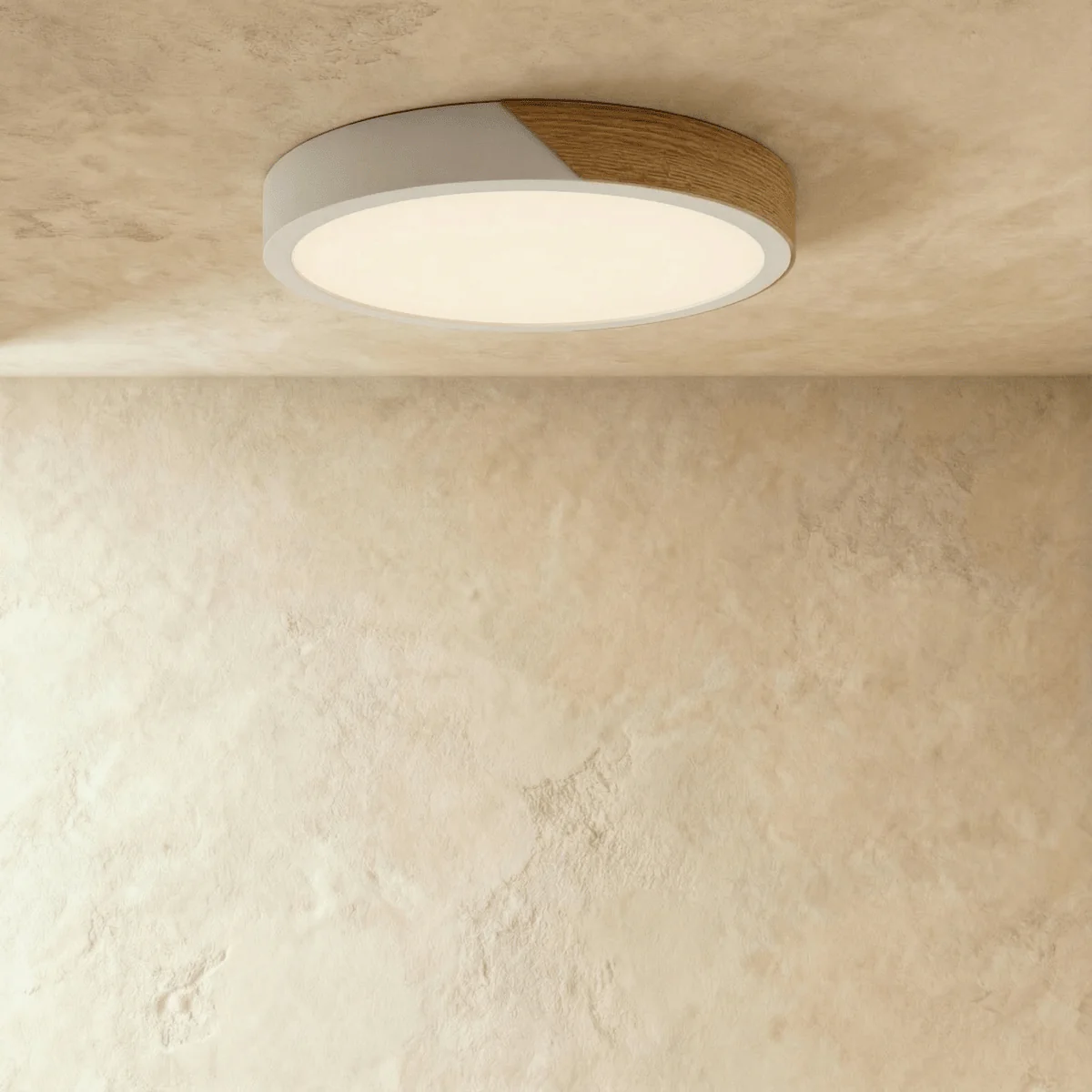 Delphi Ceiling Light - Image 5