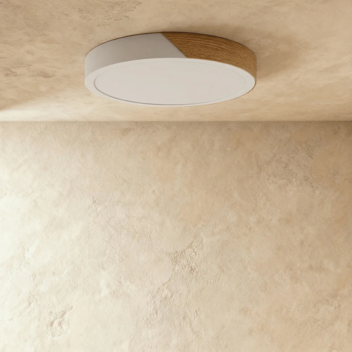 Delphi Ceiling Light - Image 6