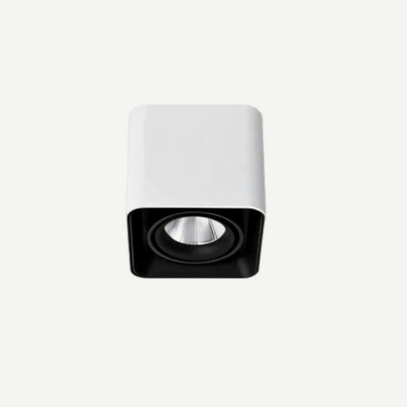 Eugenia Downlight - Image 14