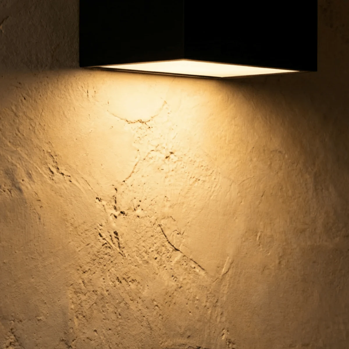 Evelyn Outdoor Wall Lamp - Image 5