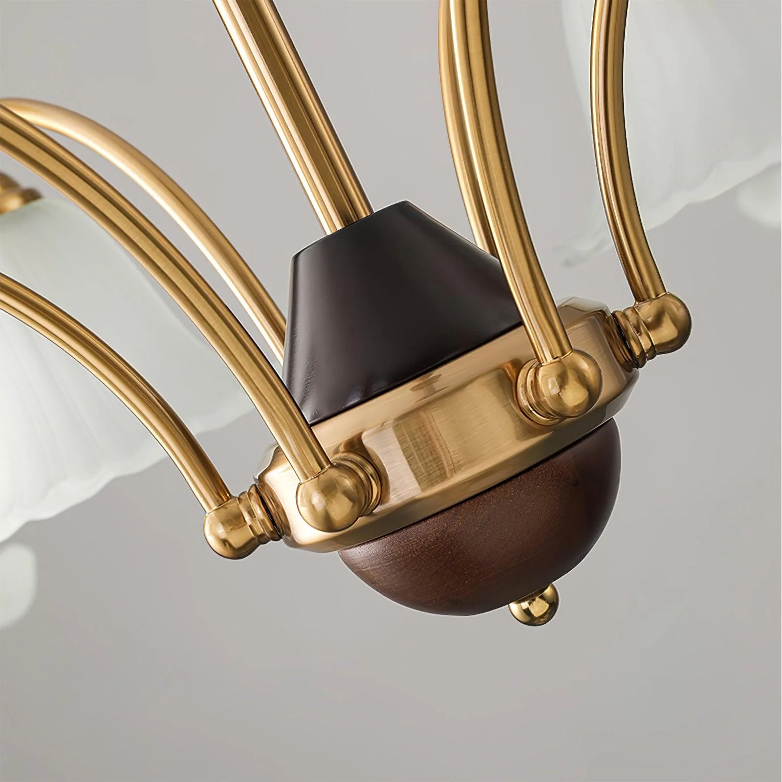 Flora Brass Chandelier - Image 5