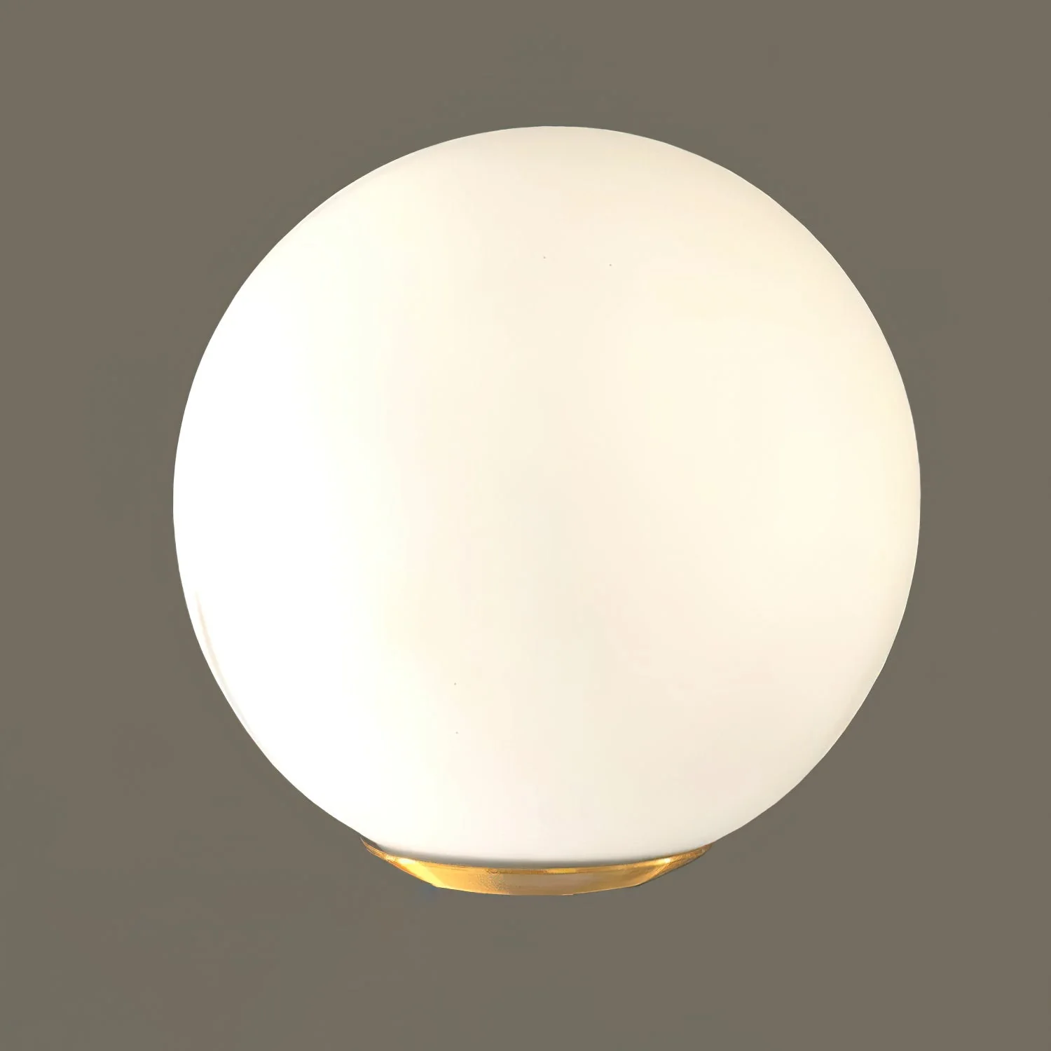 Gingko Pendant Lamp - Image 11
