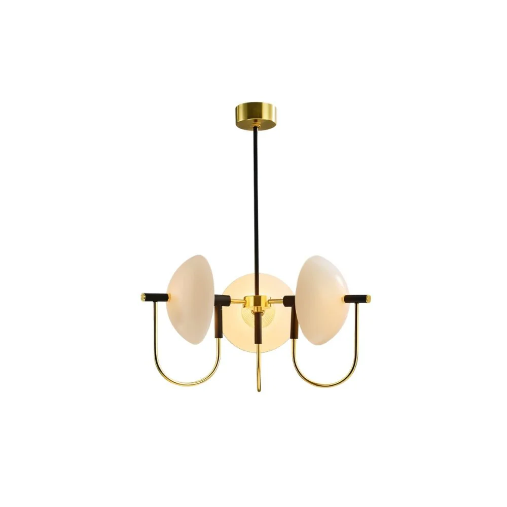 Gyrus Chandelier - Image 12