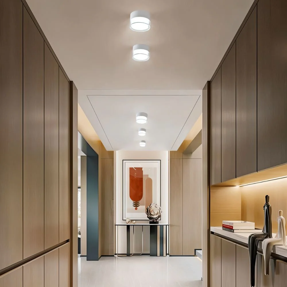 Ian Downlight - Image 5