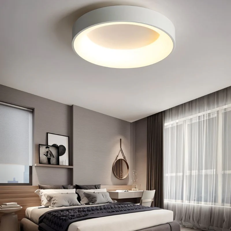Miray Ceiling Light - Image 10
