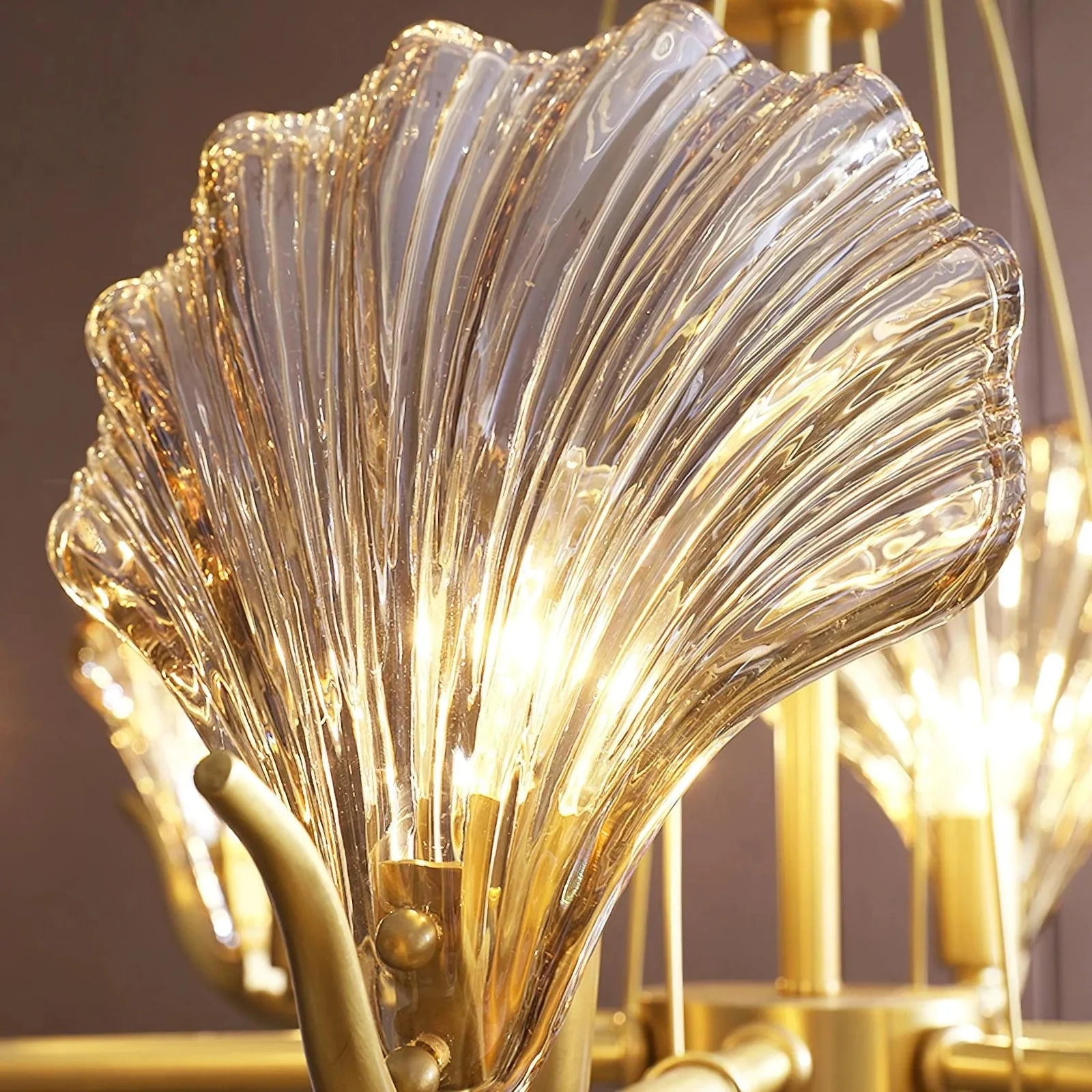 Modern Shell Glass Chandelier - Image 16