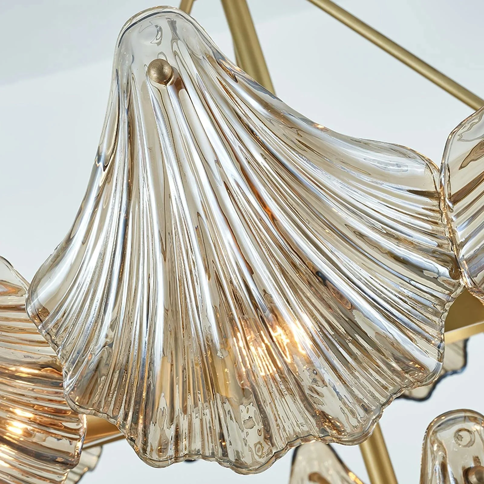 Modern Shell Glass Chandelier - Image 18