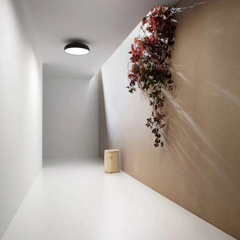 Noira Ceiling Light - Image 4
