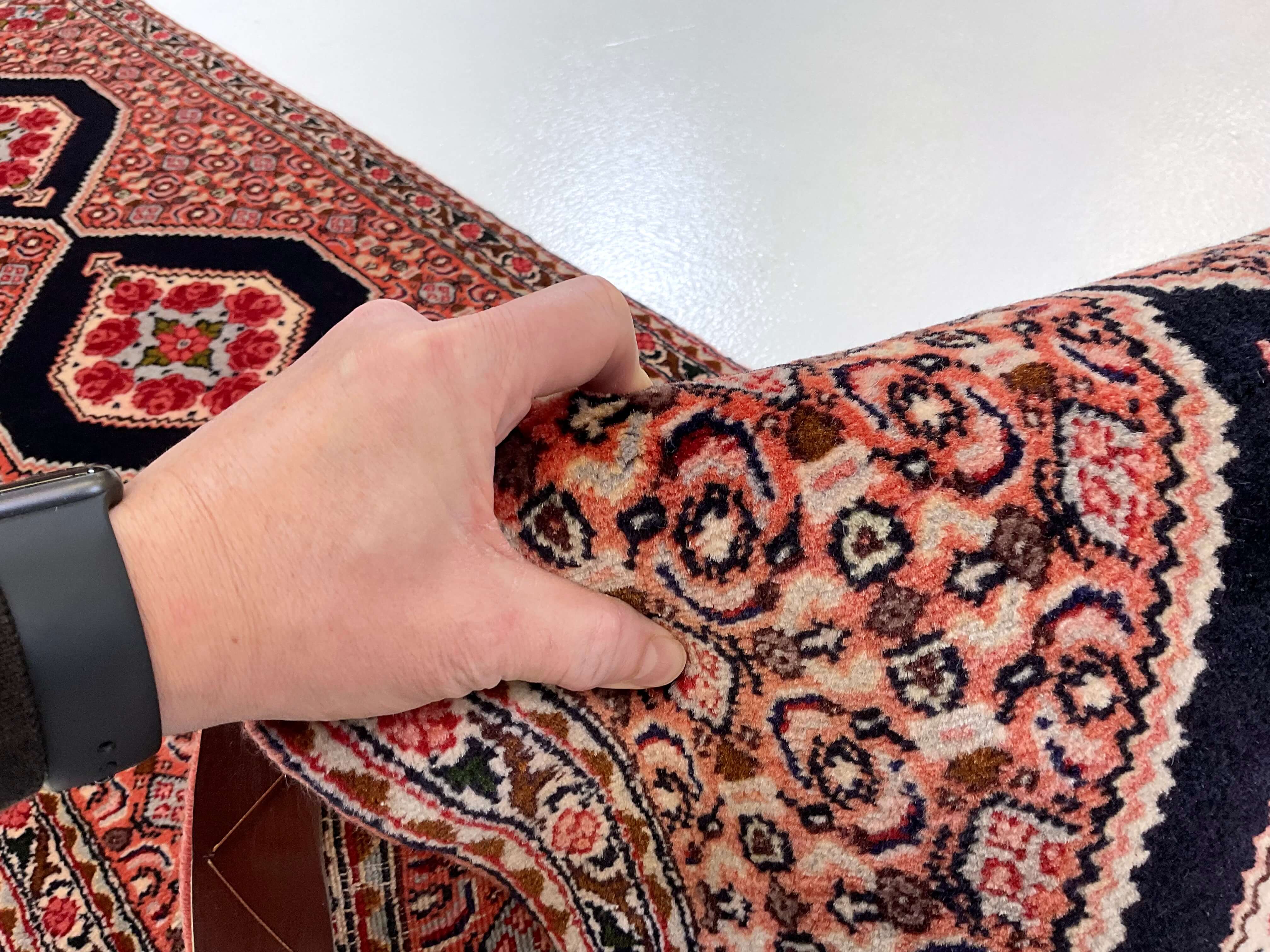 Bijar (1'10"x8'08") rose/indigo - Image 6