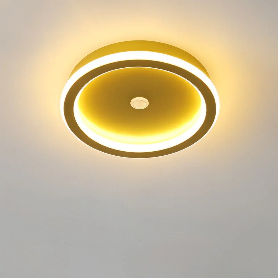 Rohesia Ceiling Light - Image 10