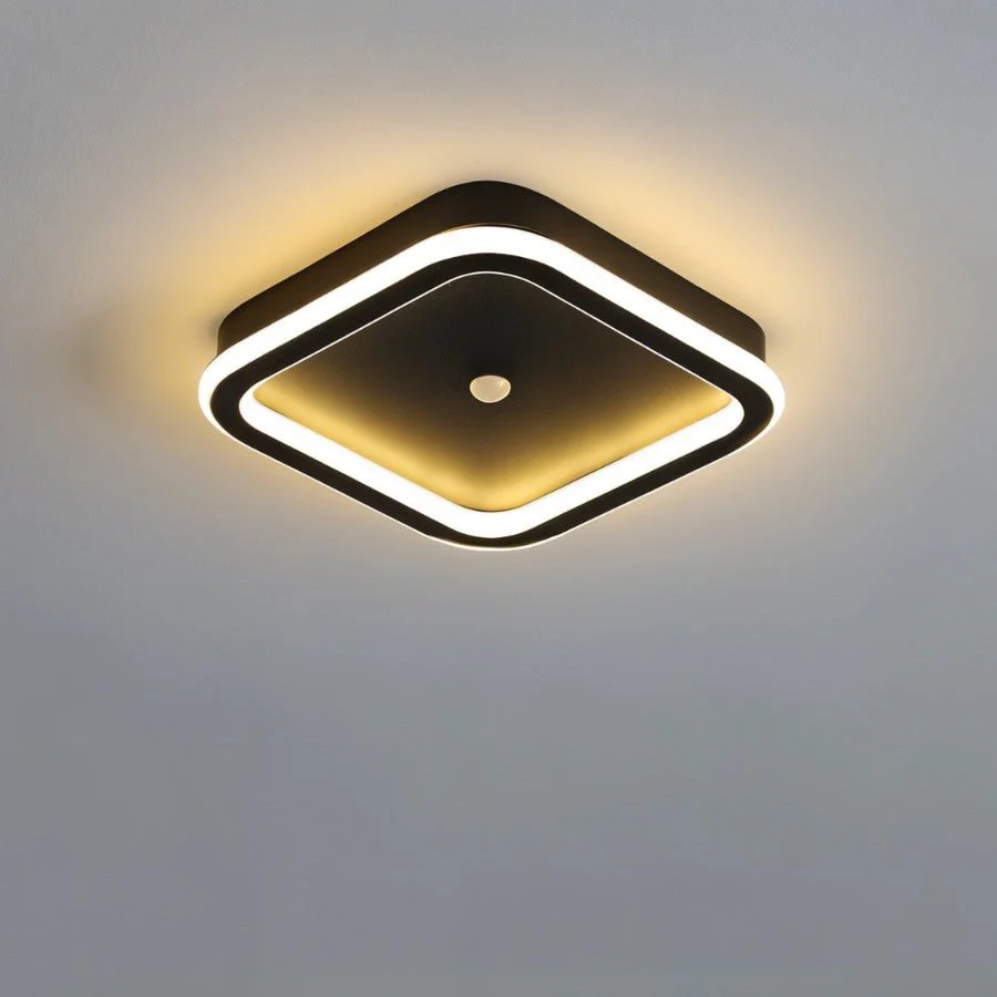 Rohesia Ceiling Light - Image 11
