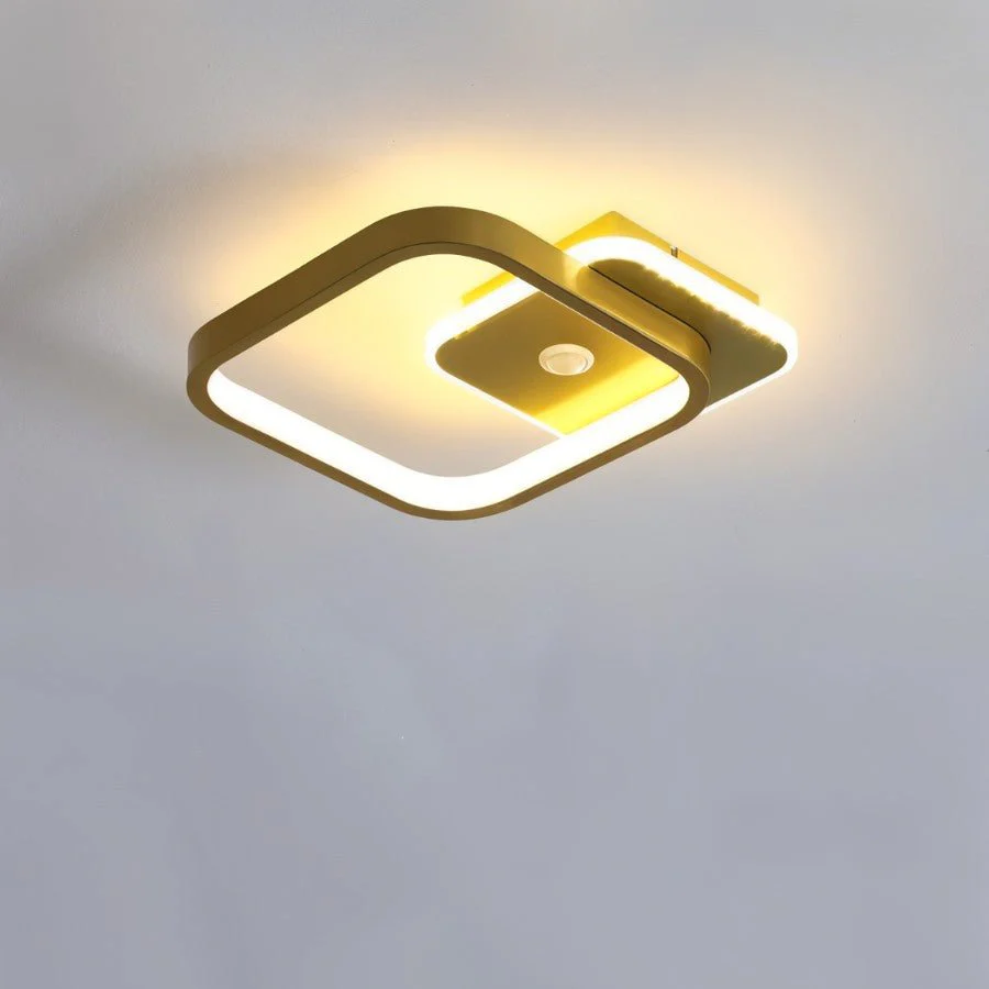Rohesia Ceiling Light - Image 14