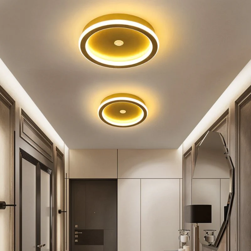 Rohesia Ceiling Light - Image 5