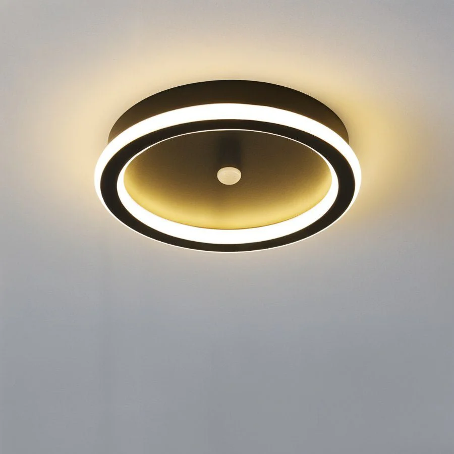 Rohesia Ceiling Light - Image 9