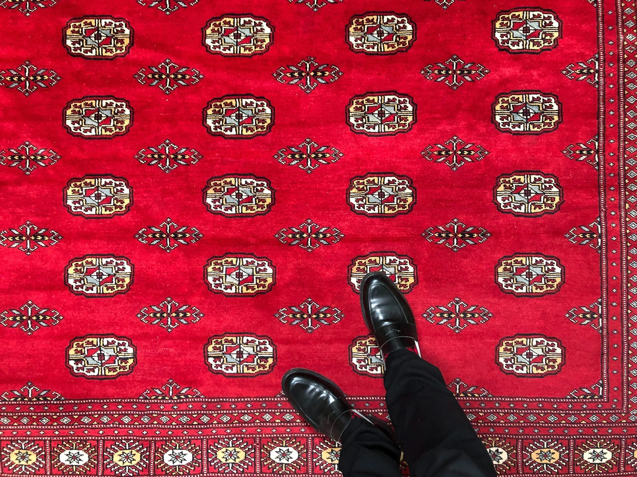 Salor Bokhara (9'02"x11'09") deep red - Image 10