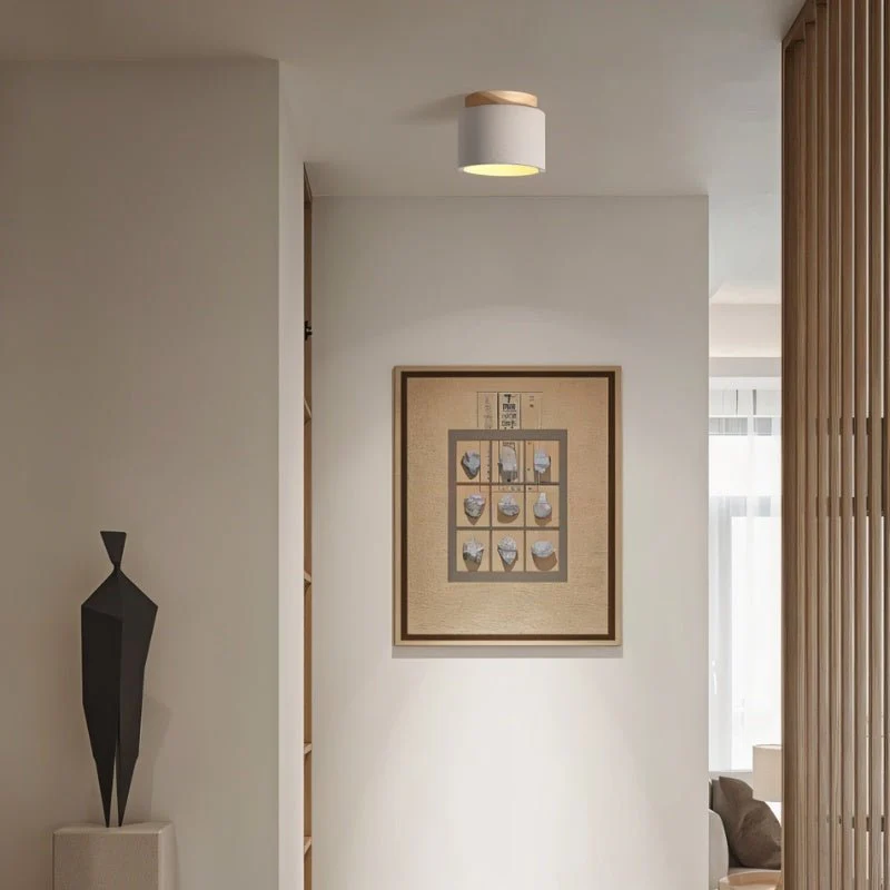 Sasil Downlight - Image 5
