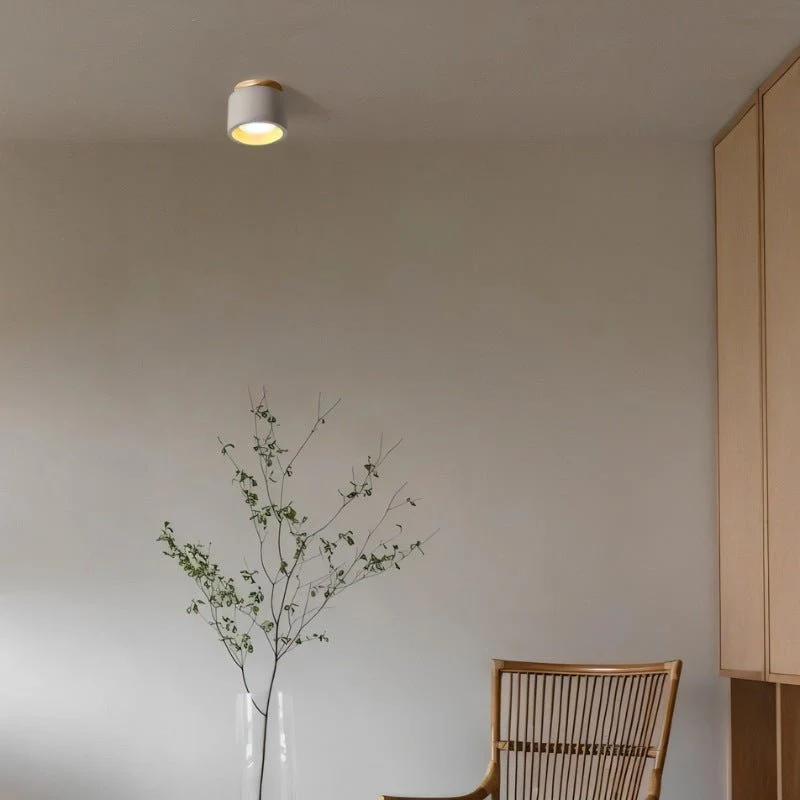 Sasil Downlight - Image 6