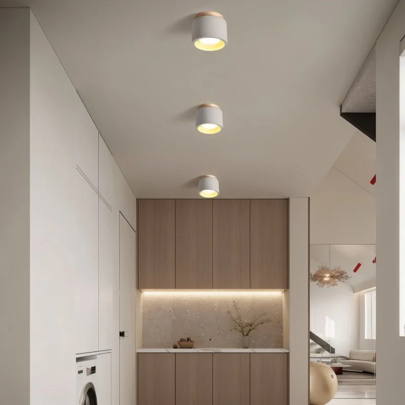 Sasil Downlight - Image 7