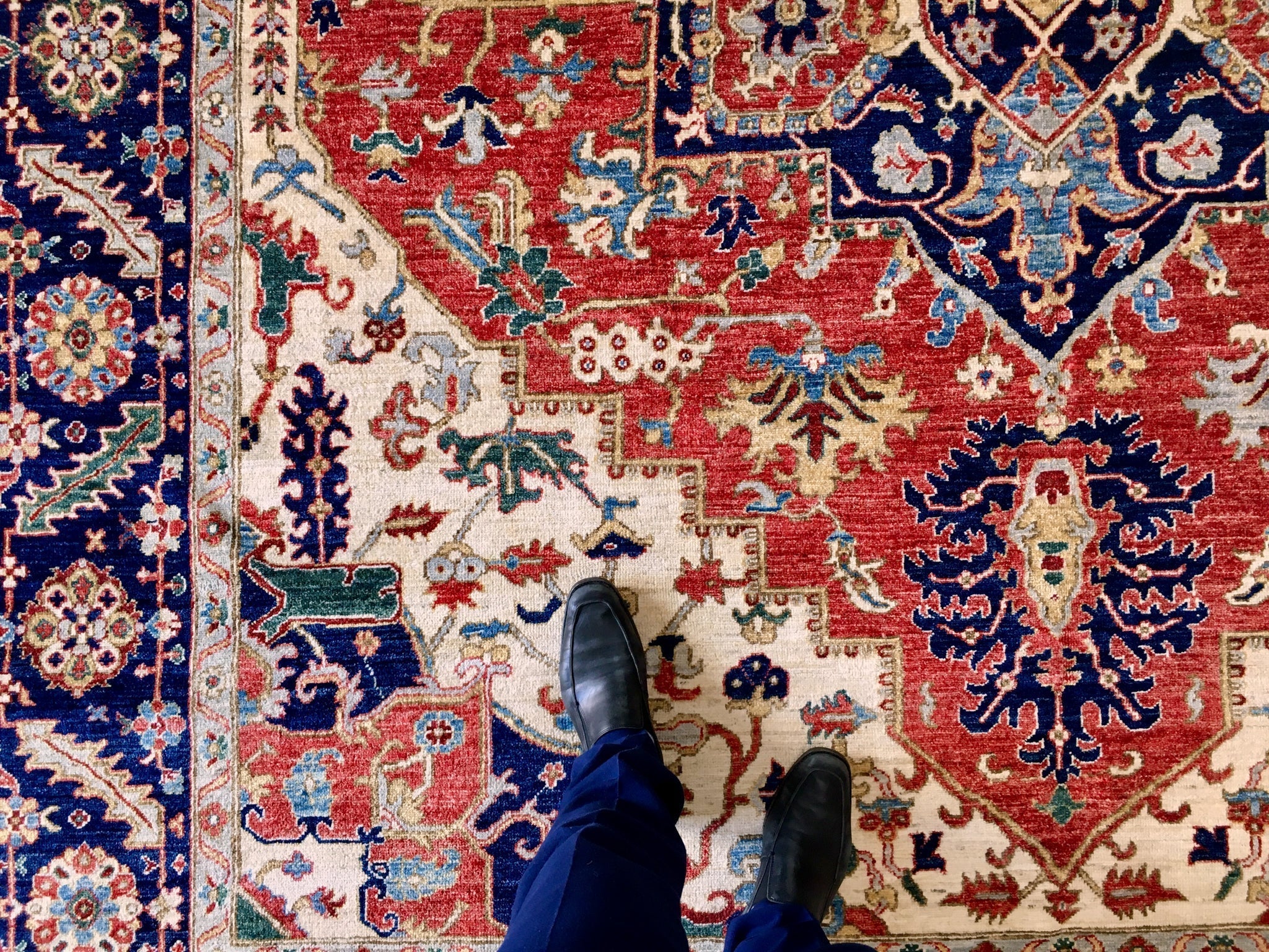 Serapi (9'00"x11'07") red/ivory/navy - Image 7