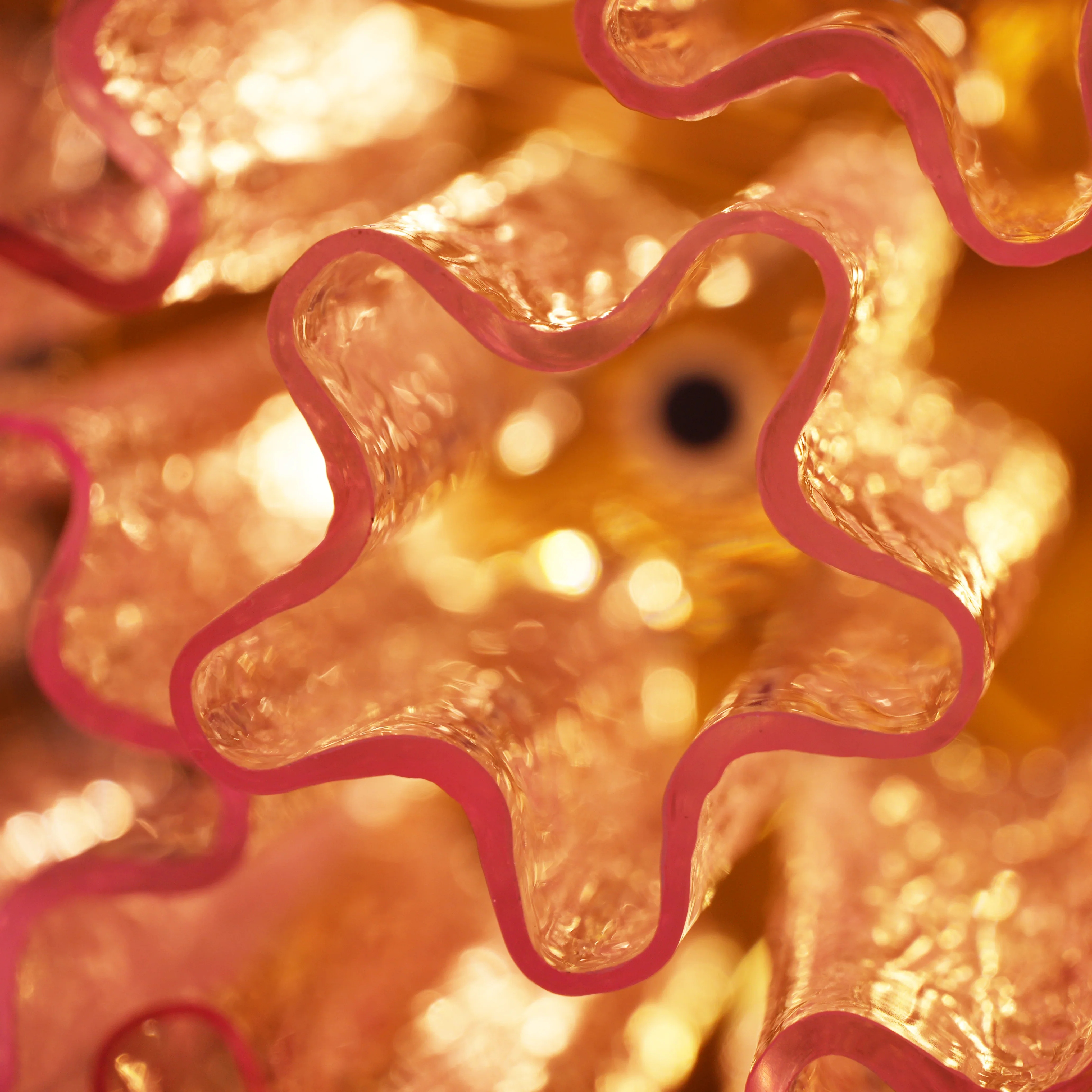 Vintage Murano Pink Glass Ceiling Light - Image 14