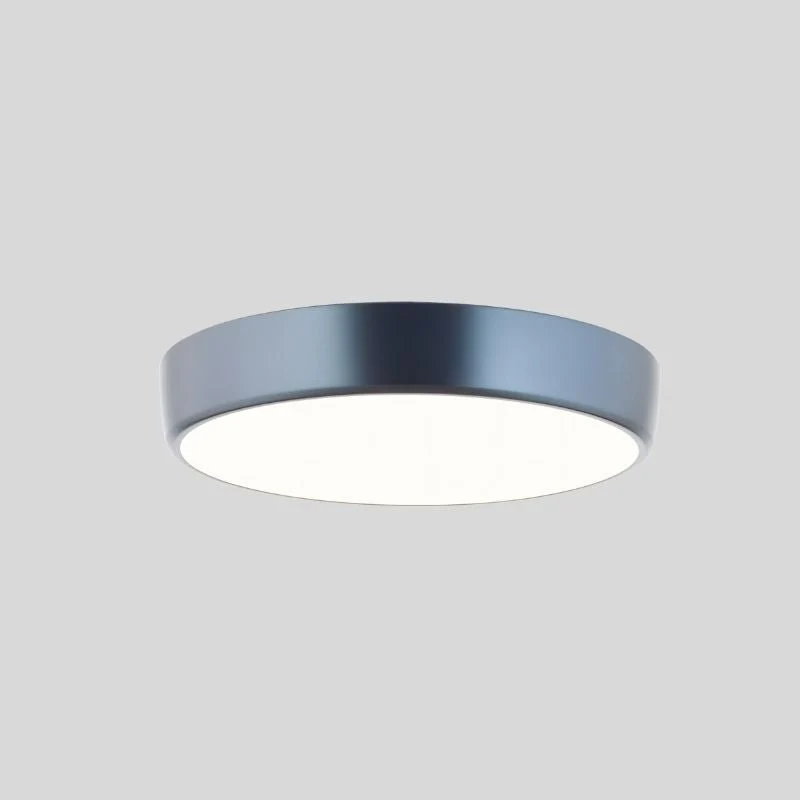 Viyan Ceiling Light - Image 6